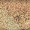 Africa Range : African Dream Gold