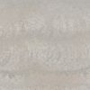 Premium : 4043 Primordia