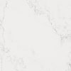 Premium : 5151 Empira White