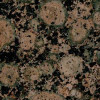 Proline : Baltic Brown