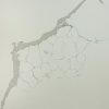 Sigma Quartz : Calacatta Grey