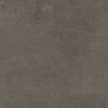 SapienStone : Brown Earth